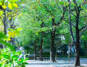 箱崎公園(徒歩10分・約740m)