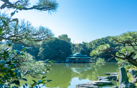 清澄庭園(徒歩10分・約770m)
