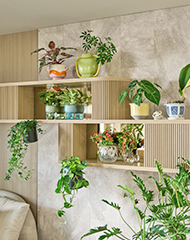 インテリア・植物など、くらしの情報を配信