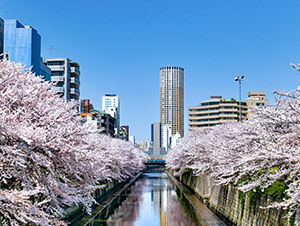 「中目黒」駅