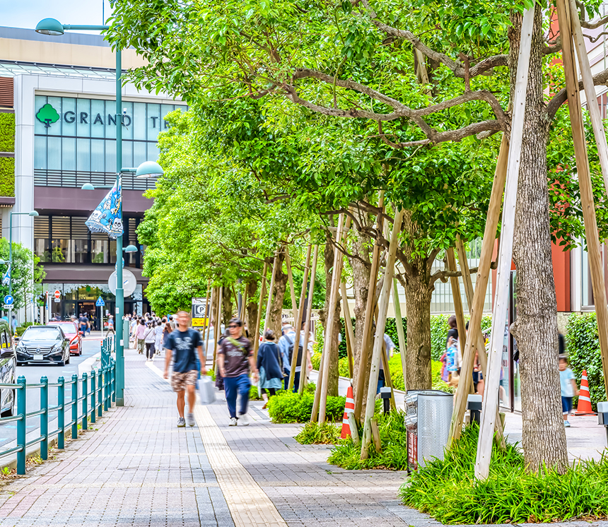 「武蔵小杉」駅周辺 image photo