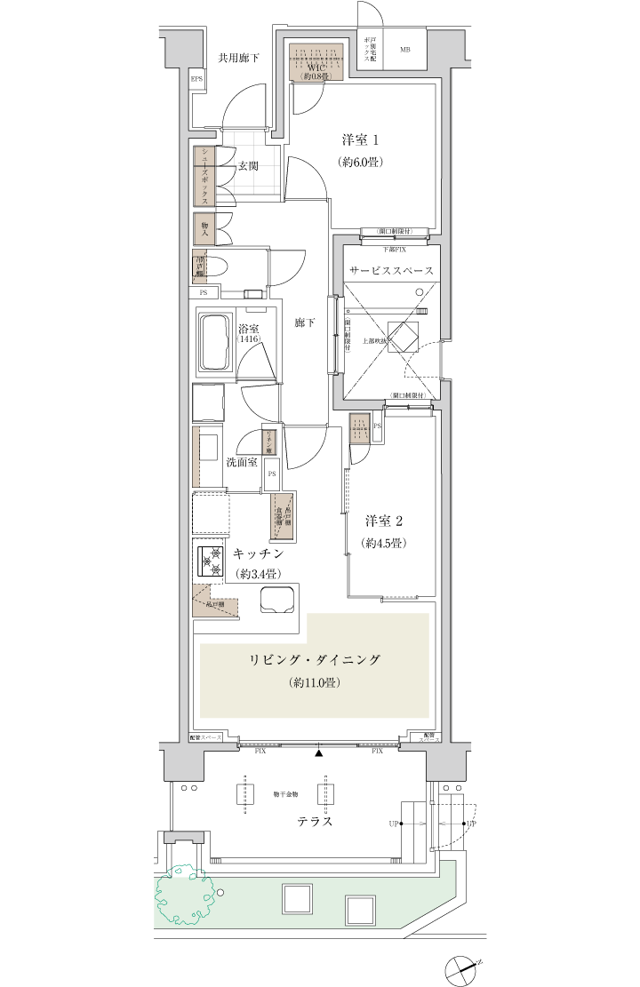 Ct TYPE