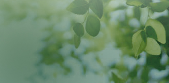 image photo