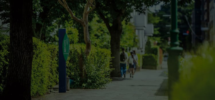 現地周辺の街並み(約250m/徒歩3分)
