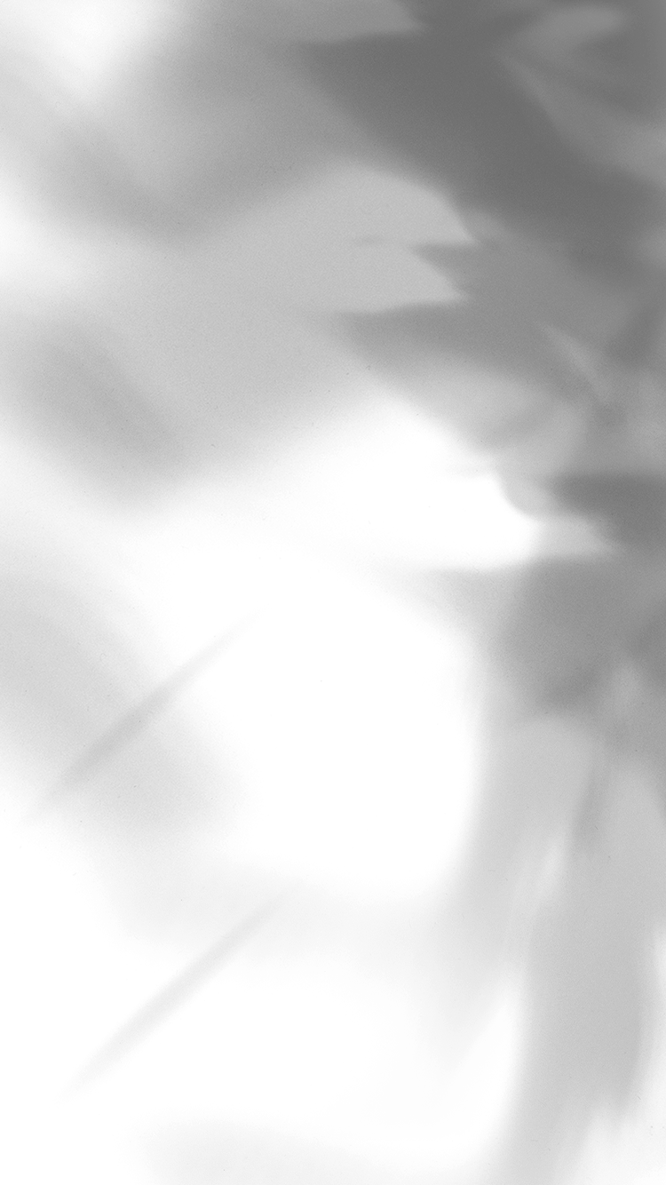 葉っぱ