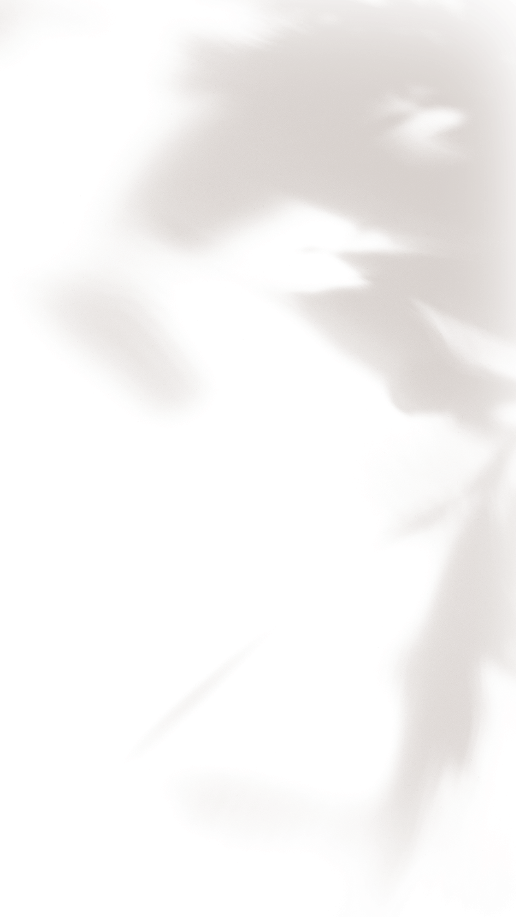 葉っぱ