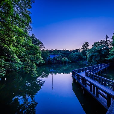 井の頭恩賜公園