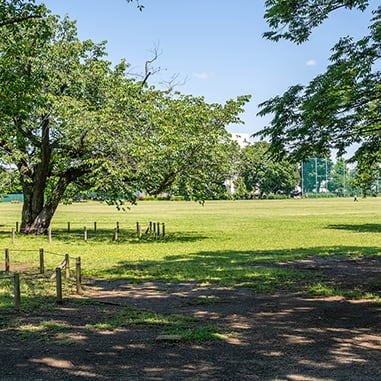 武蔵野中央公園