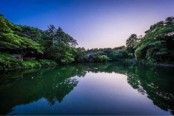 都立井の頭恩賜公園（約1,860m/徒歩24分）