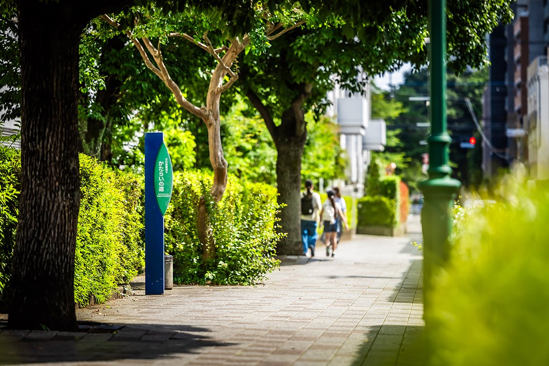 現地周辺の街並み(約250m/徒歩3分)