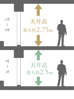 天井高概念図イラスト