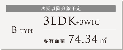 B TYPE