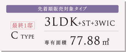 C TYPE