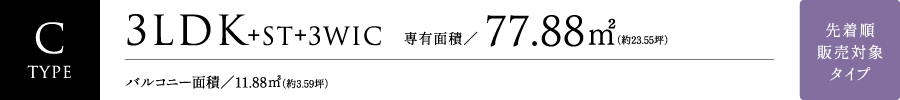 C TYPE