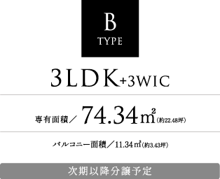B TYPE