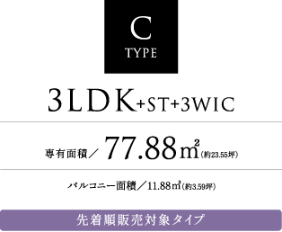 C TYPE
