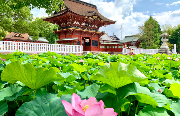 ［国指定］伊賀八幡宮
