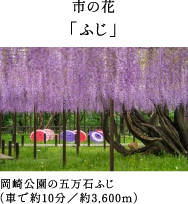 市の花「ふじ」