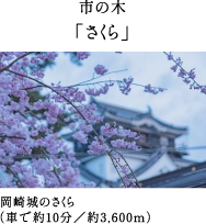 市の木「さくら」