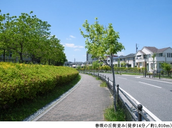 春咲の丘街並み
