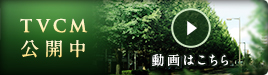 TVCM公開中