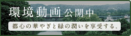 環境動画公開中