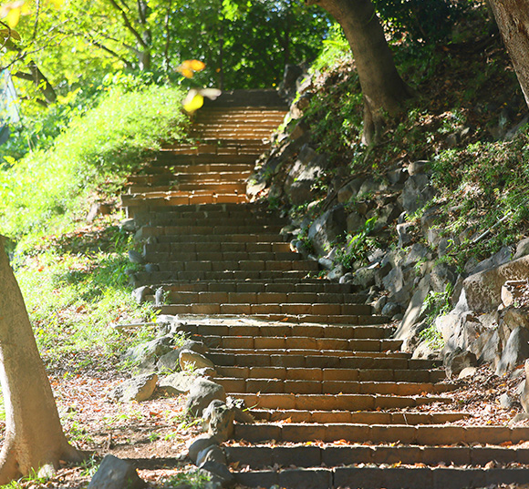 浜離宮恩賜庭園（徒歩16分／約1,240m）