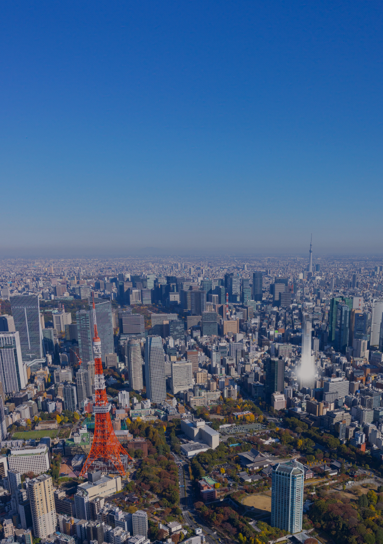 現地周辺空撮写真
