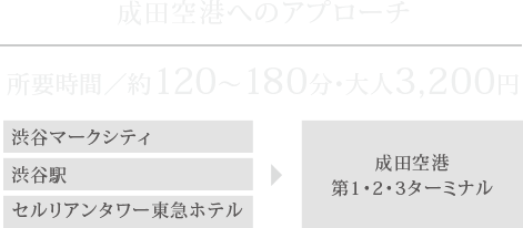 成田空港へのアプローチ