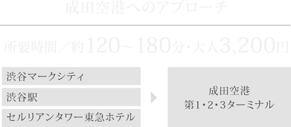 成田空港へのアプローチ