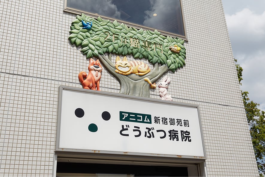 新宿御苑前どうぶつ病院（徒歩4分／約300m）