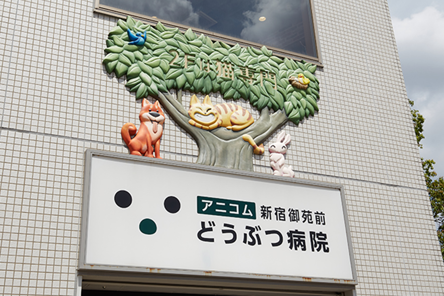 新宿御苑前どうぶつ病院（徒歩4分／約300m）