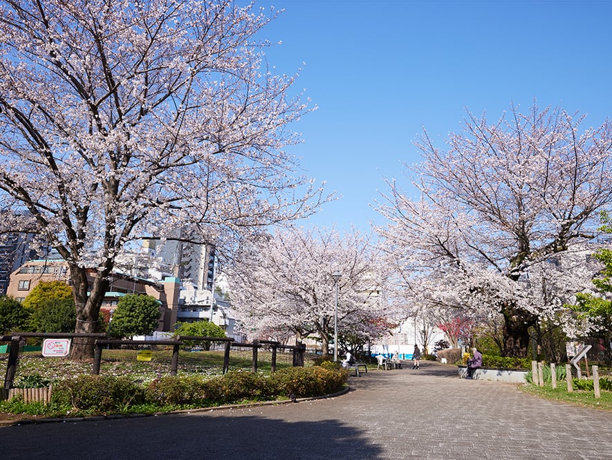 富久さくら公園（徒歩2分/約100m）
