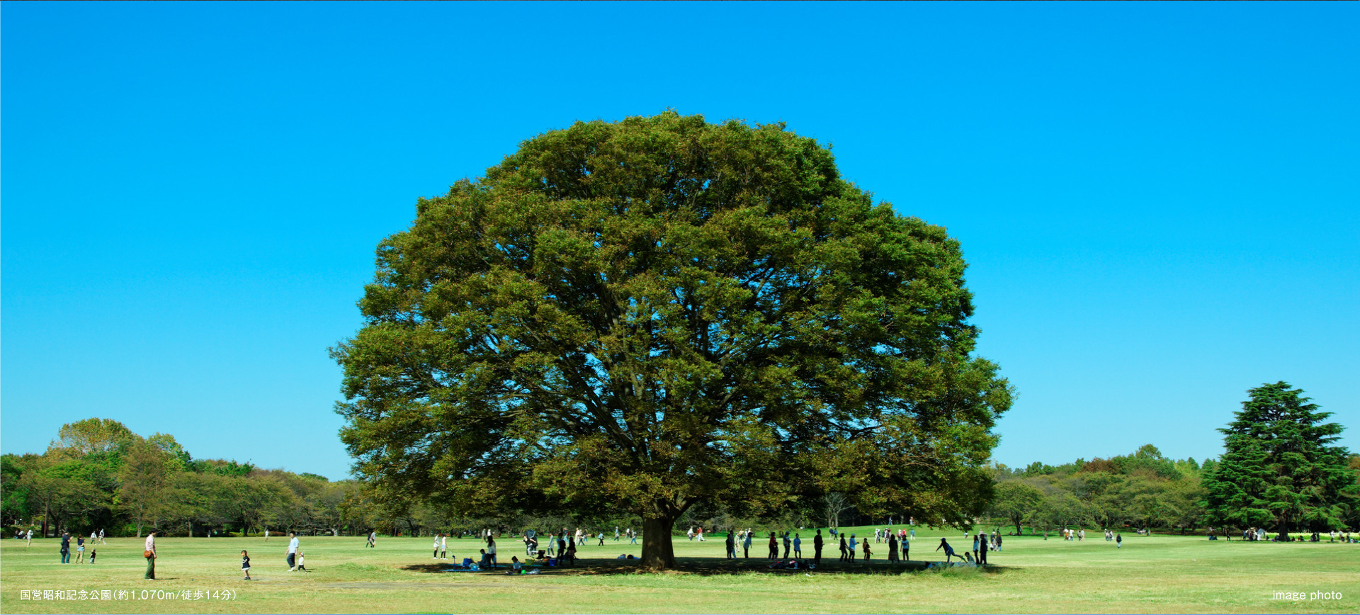 国営昭和記念公園(約1,070m/徒歩14分)