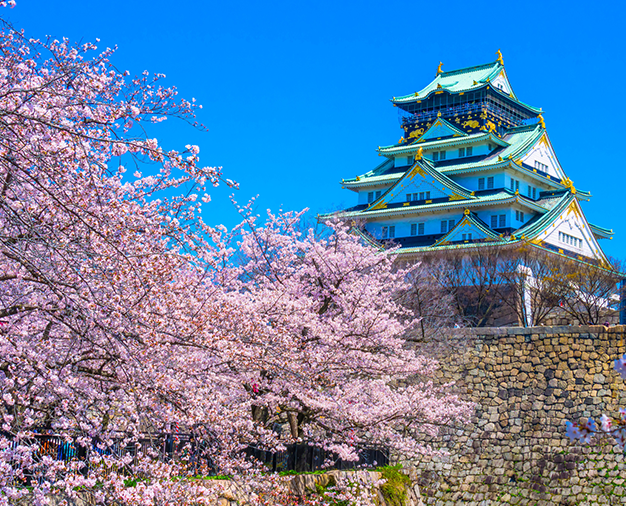 大阪城の風景
