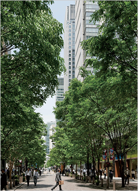 丸ノ内仲通りイメージ写真