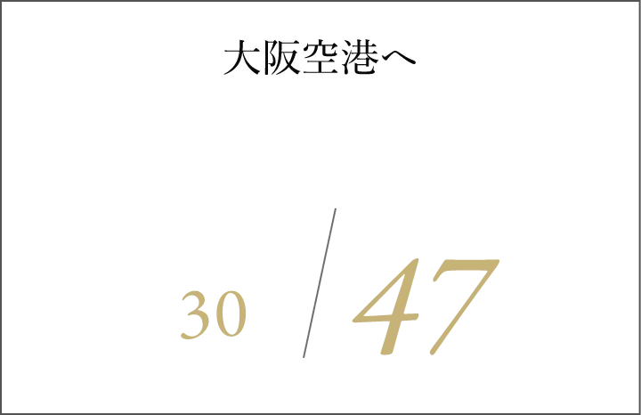 大阪空港へ