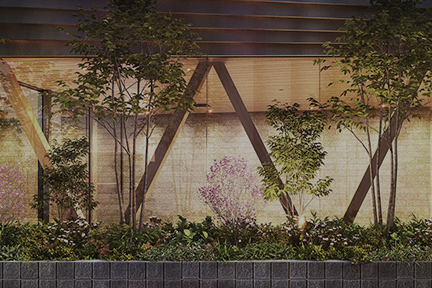 リンク背景画像：image photo