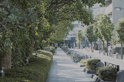 リンク背景画像：image photo