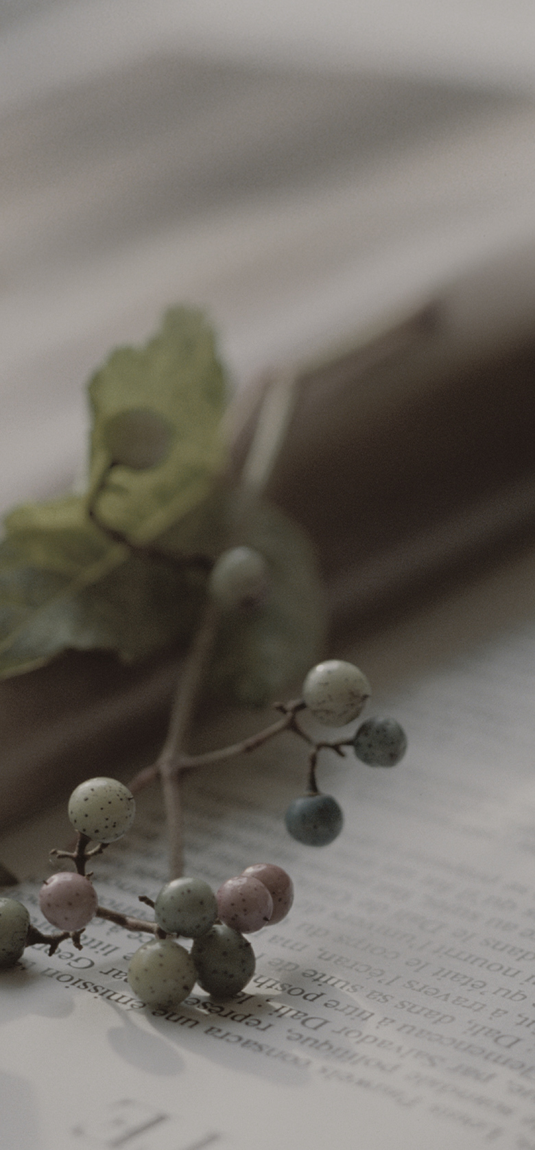 背景画像：image photo