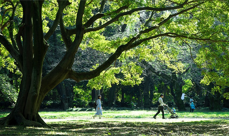 砧公園（徒歩7分／約530m）