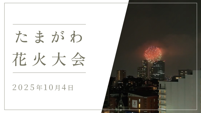 動画サムネイル 花火動画