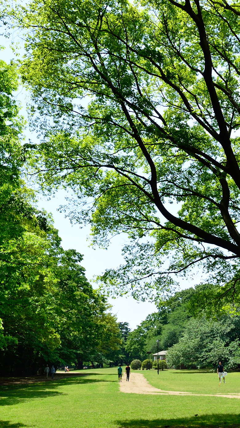 砧公園（徒歩7分/約530m）