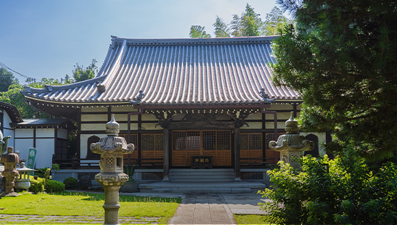 城根山 妙蓮寺（徒歩6分/約420m）