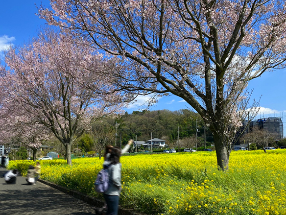 ※上記3点提供写真