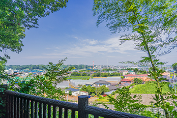 川和市民の森