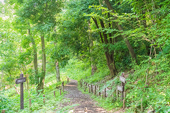 川和市民の森