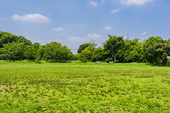 川和富士公園
