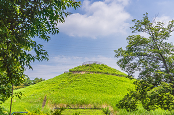 川和富士公園