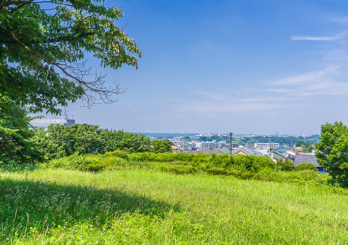 月出松公園